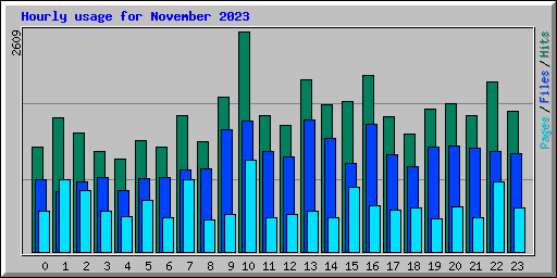 Hourly usage for November 2023