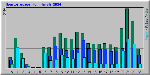 Hourly usage for March 2024