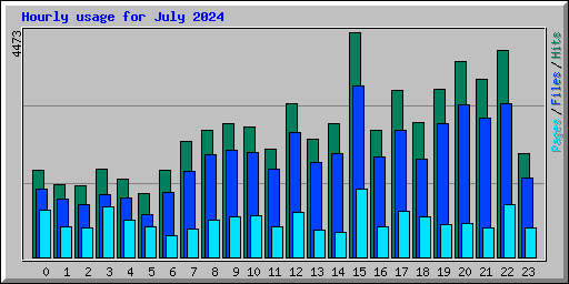 Hourly usage for July 2024