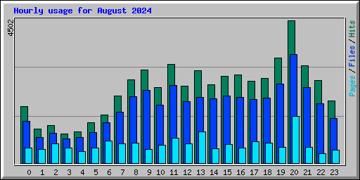 Hourly usage for August 2024