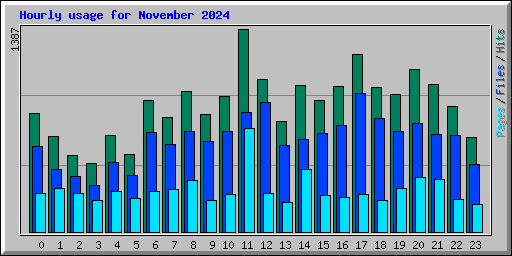 Hourly usage for November 2024