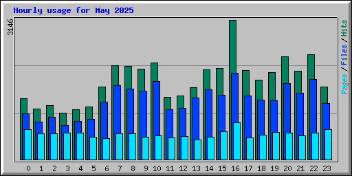Hourly usage for May 2025