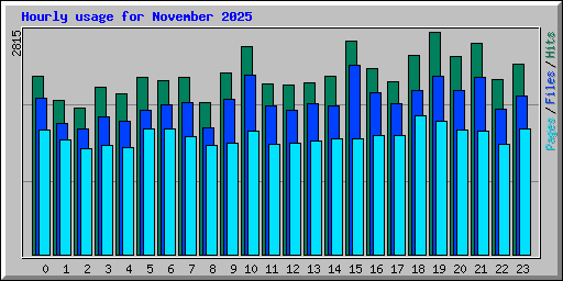 Hourly usage for November 2025