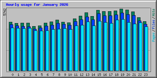Hourly usage for January 2026